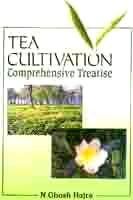 Ultimate guide  to Tea Cultivation