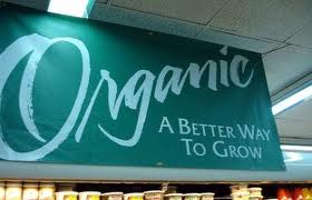 is Organic better for your health?